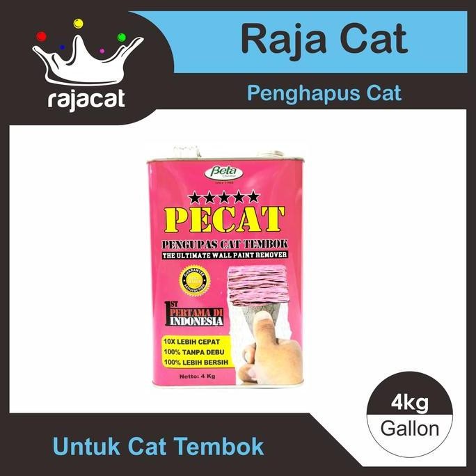 PECAT 4 KG / PERONTOK CAT TEMBOK