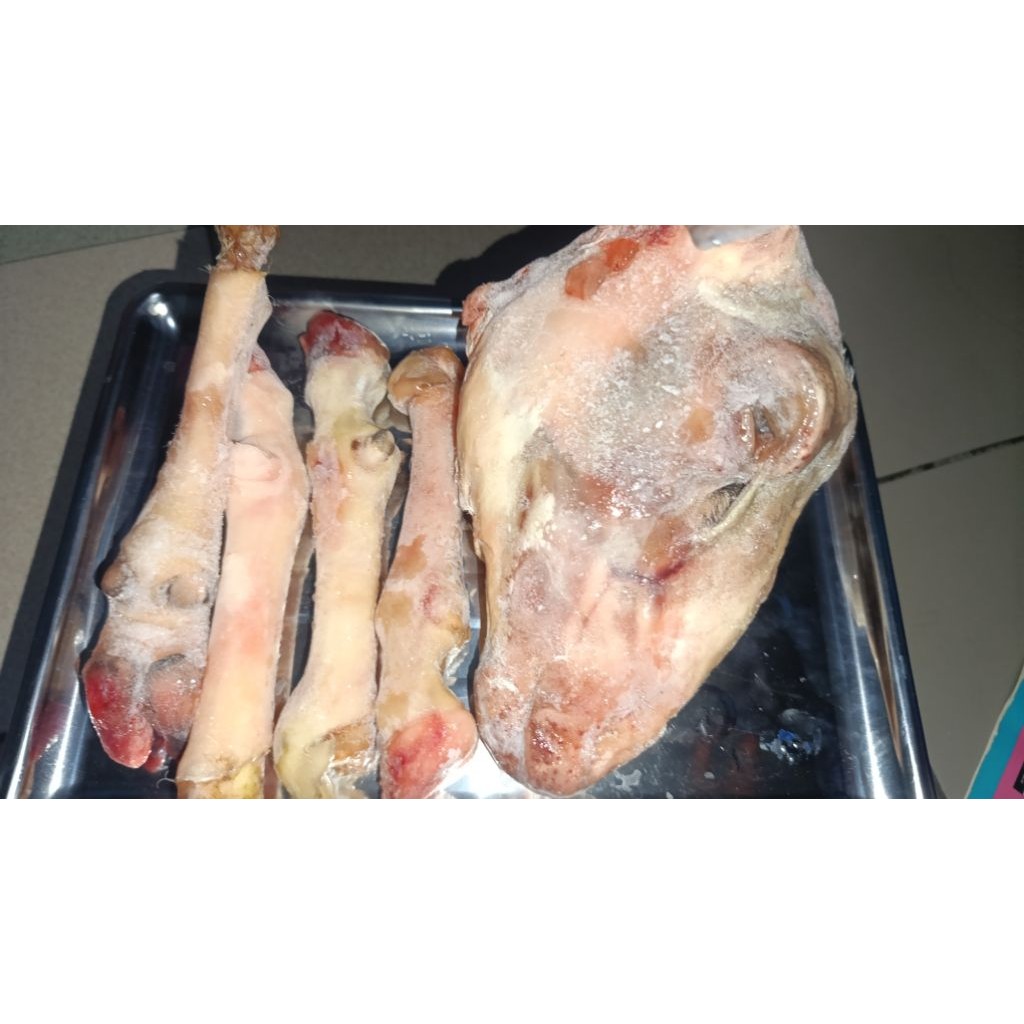 

Paket Kepala Utuh 1 & Kaki 4 ( 1 kepala & 4 kaki) Kambing Domba Muda/Kambing Muda Fresh, Berkualitas dan Siap Masak