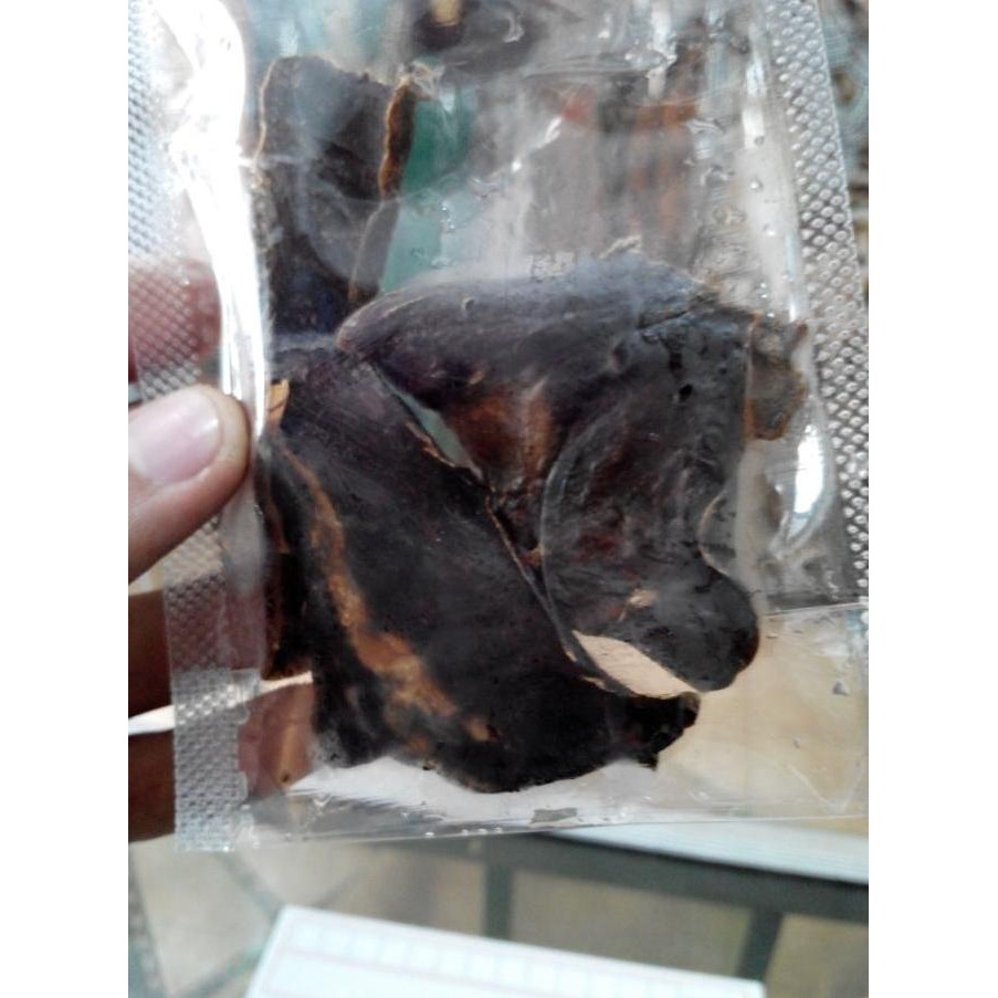 Hati Unta Onta Madinah Obat Asma Dan Sesak Nafas