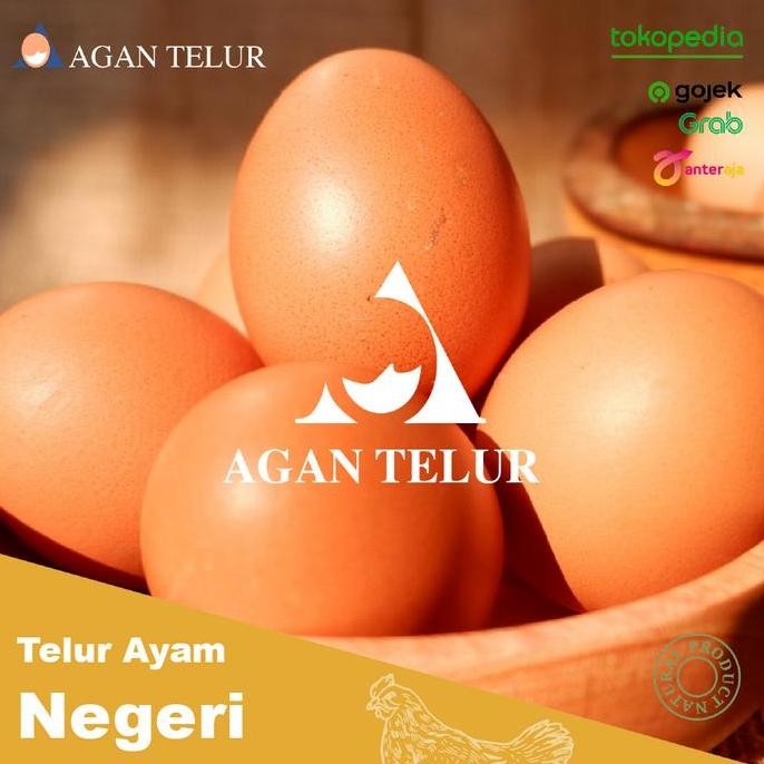 

Produk Baru!! Telur Ayam Negeri 1kg Isi 15-16 Butir Kulit Cokelat Segar