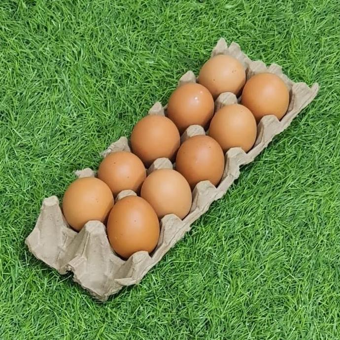 

Produk Baru!! Telur Ayam Pack Isi 10 Butir Segar Fresh Harian