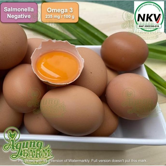 

Produk Baru!! Telur Omega 3 Curah Per Kg Dari Kandang Bersertifikat NKV