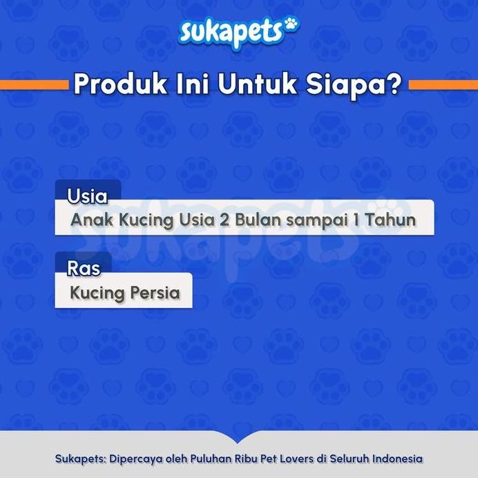 Royal Canin Kitten Persian Makanan Anak Kucing Persia 400gr murah