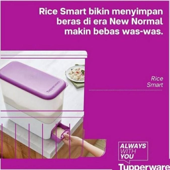 Terlaris Tupperware  Tempat Beras 10Kg Rice Smart  Dispenser Tempat Beras Ready Stok