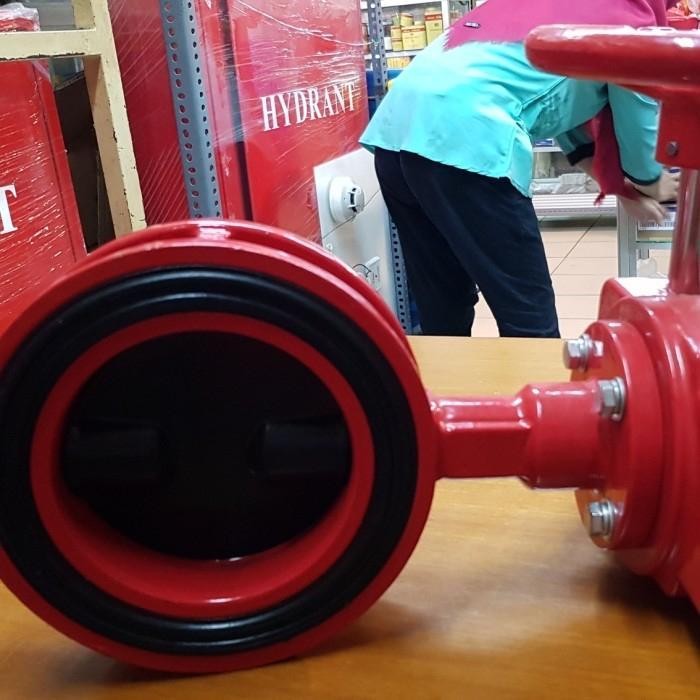 4" Branch Control Valve Viking (Bcv) Butterfly Valve Complete Set Original Dan Terpercaya