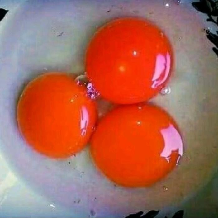 Capsantal Cx / Canthaxantin / Pengganti Carophyll Red Pemerah Kuning Telur / Kulit Ikan Original Dan