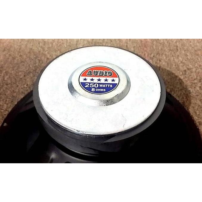 DISKON SPEAKER WOOFER 10 INCH 250W 8 OHM - AUDIO SUBWOOFER BASS 10"