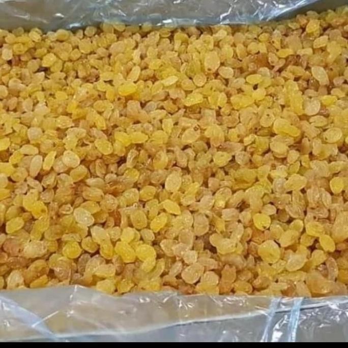 

/////] FRESH , SWEET RAISINS . SIMIN , KISMISH MANIS KUNING 1 KG