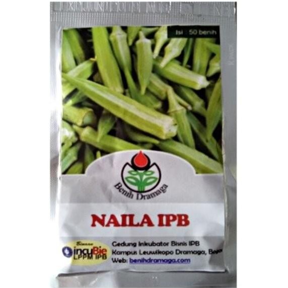 POHON Bibit Okra Hij Naila IPB 50 Biji Dramaga Buah