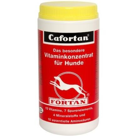 Fortan Cafortan 1000Gr / Vitamin Hewan Co
