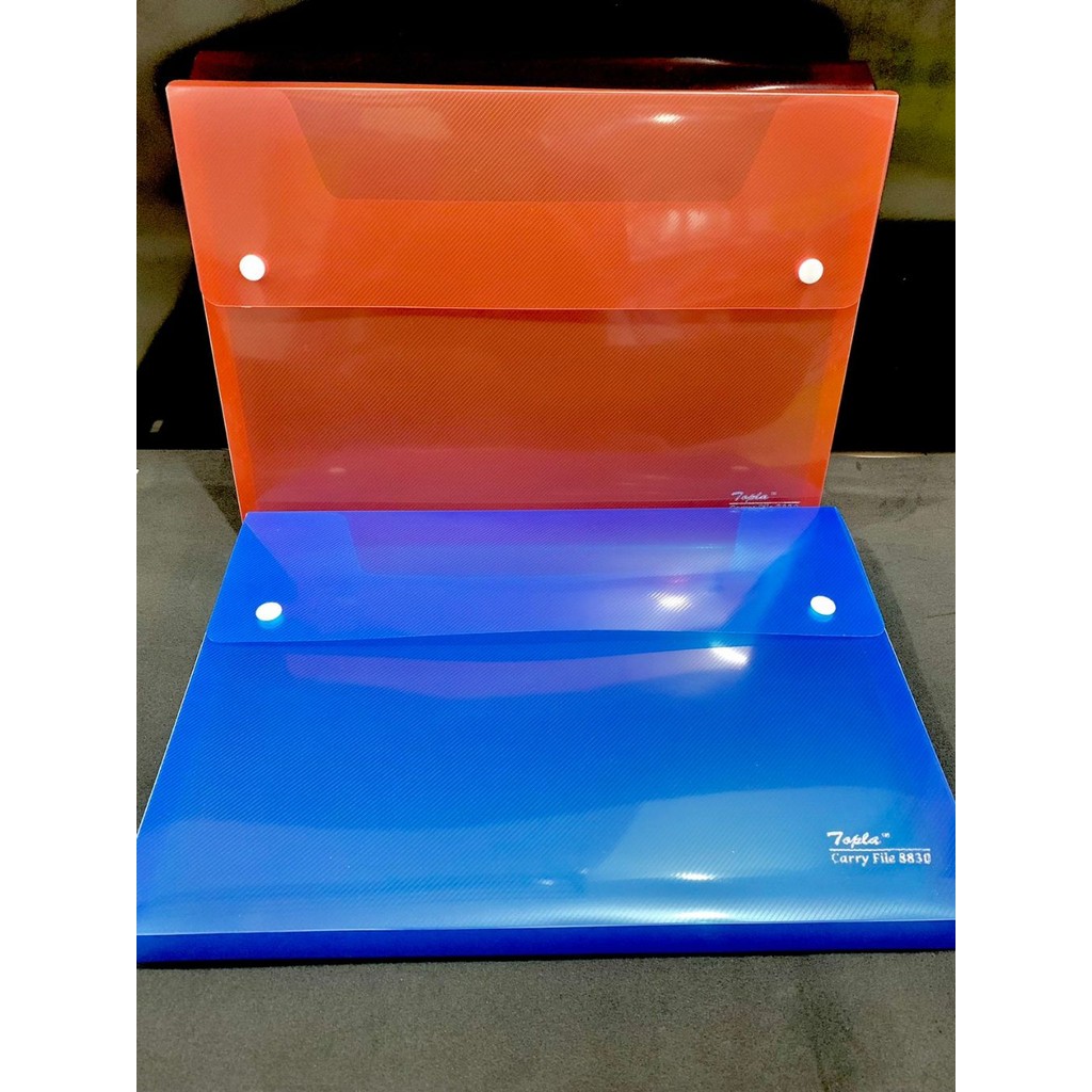 

Carry case / Carry box / Carry file / Box file / Carry bag 8830