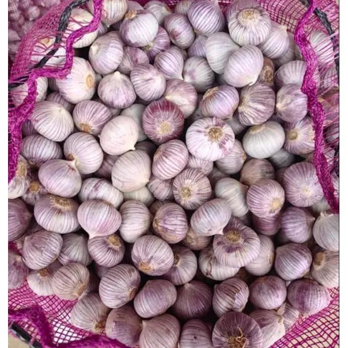 

Bahan Bla Garlic Bawang Putih Tunggal 5.Kg Bawang Fresh