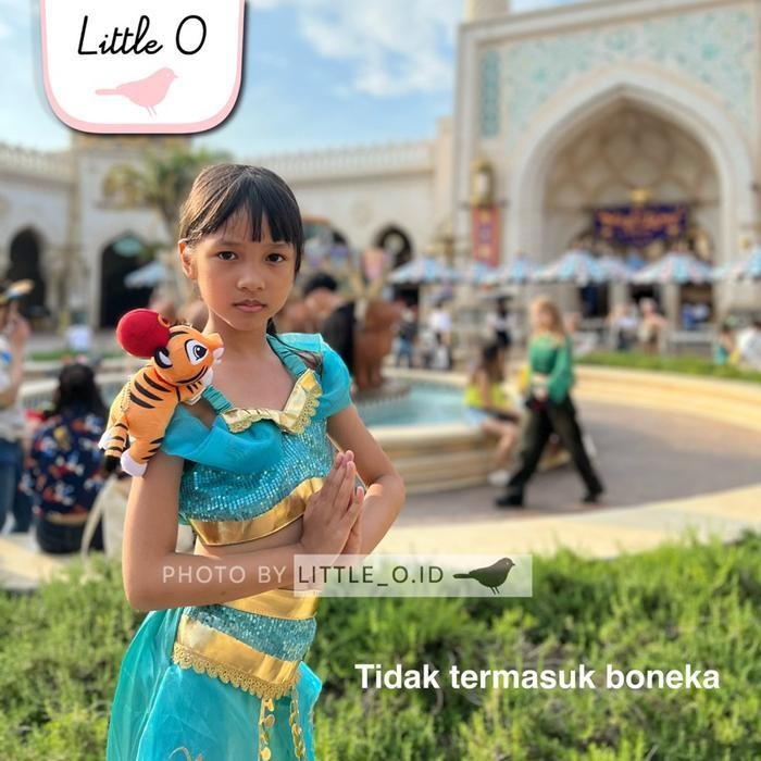 Ac Part 2 Kostum Anak Dress Elsa Ariel Jasmine Gaun Pesta Ulang Tahun Cosplay Halloween Disney Kostu