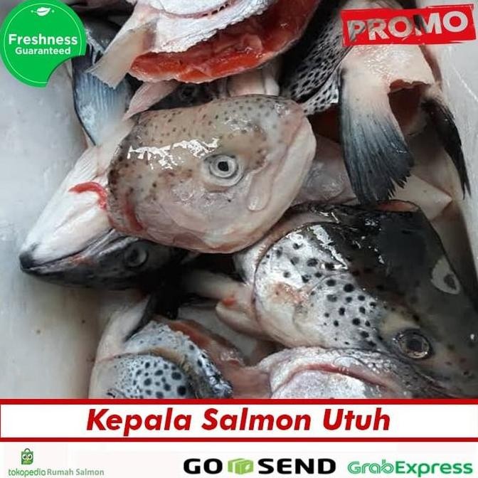 

kepala salnon 1 kg
