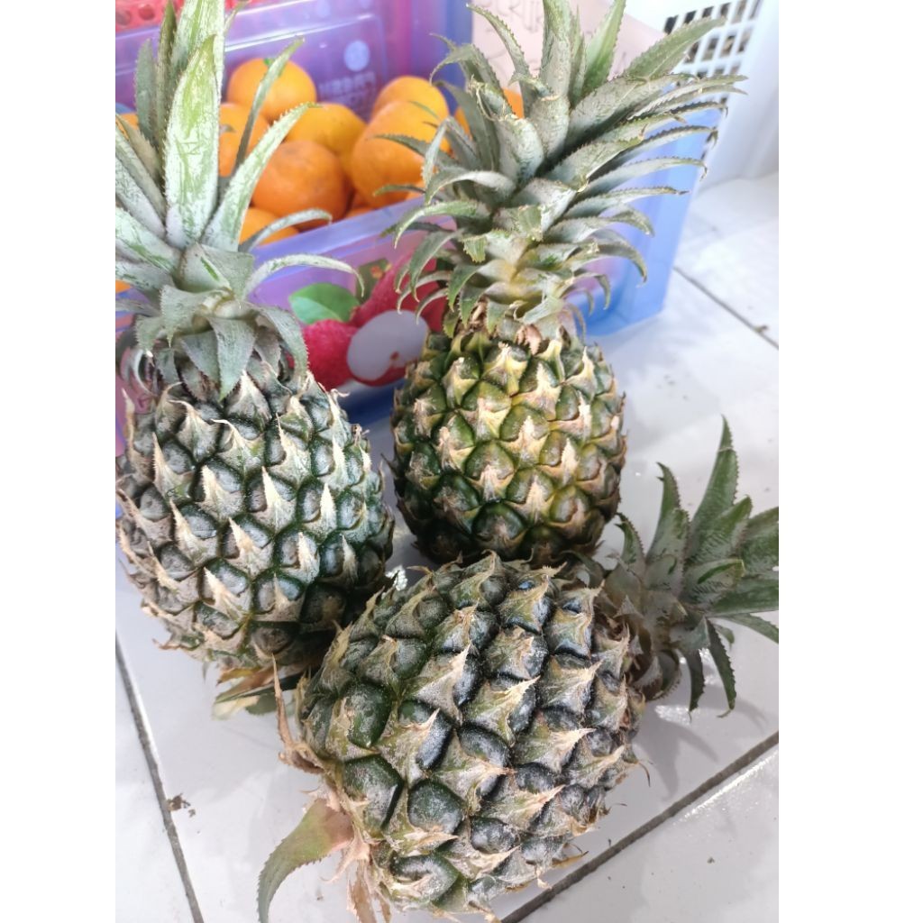 

[]COD[] __ 2 PCS Nanas hijau muda