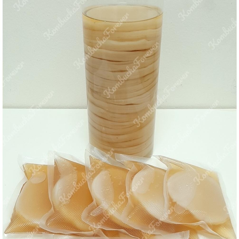 

SALE! BIBIT SCOBY JAMUR KOMBUCHA DIAMETER 10CM TEBAL -+ 1 CM PREMIUM ORGANIK