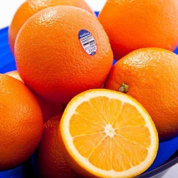 

POHON VIRAL HANCUR Bibit Tanaman Buah Jeruk Sunkist Navel BISA COD