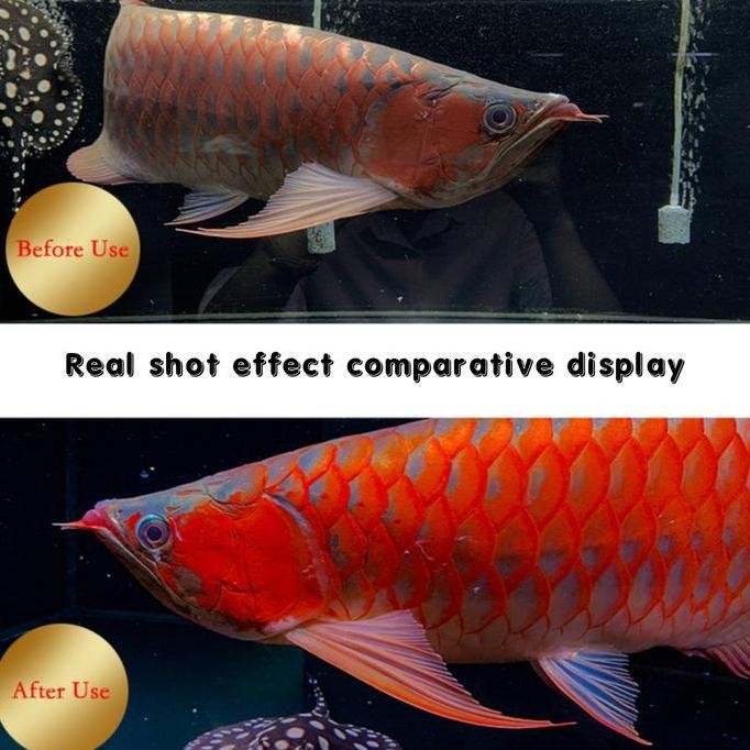 Lampu tanning arwana LED aquarium submersible  Yamano oval 100 120 cm