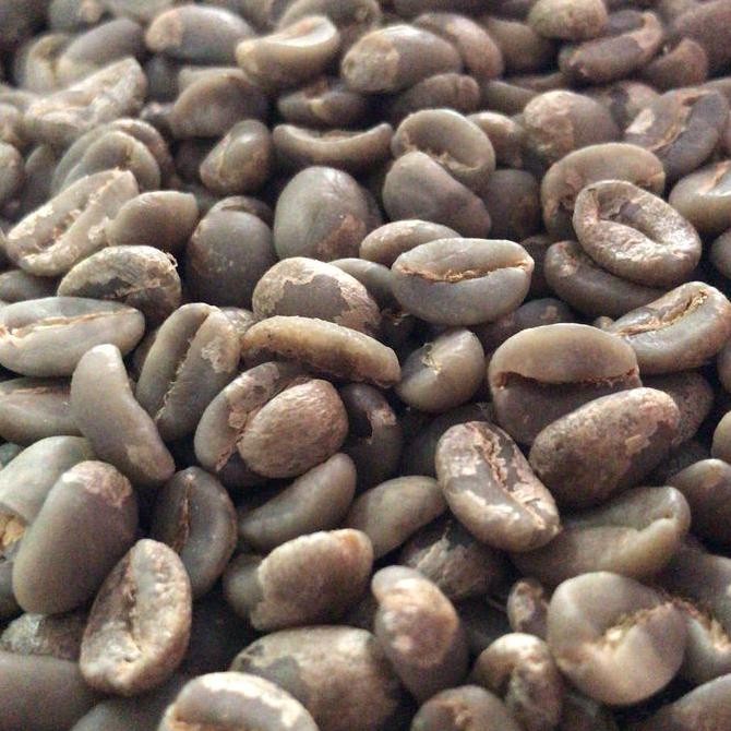 

Greenbean Biji Kopi Arabika Papua Yahukimo Kualitas Terbaik Harga Termurah