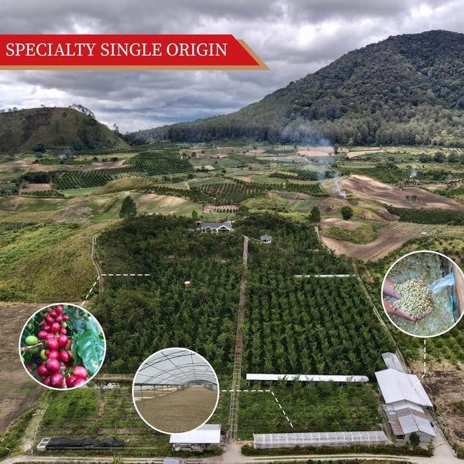 

Biji Kopi Arabika Andung Sari 250 Gr Specialty Coffee Beans Ming Kopi Kualitas Terbaik Harga Termurah