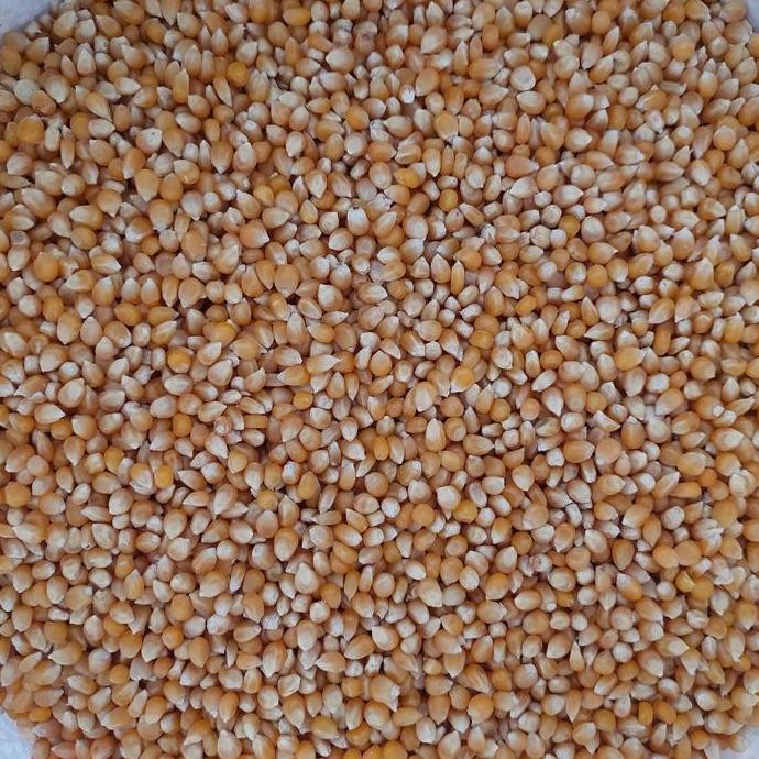 

JB Popcorn mentah jagung popcorn 1kg None