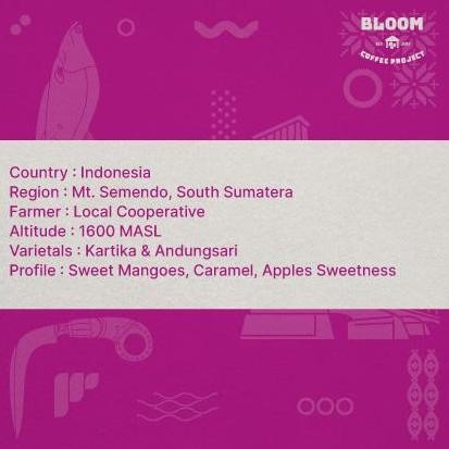 

Biji Kopi Semendo - Semendo - Classic Natural - Specialty Grade Coffee Green Beans Kualitas Terbaik Harga Termurah