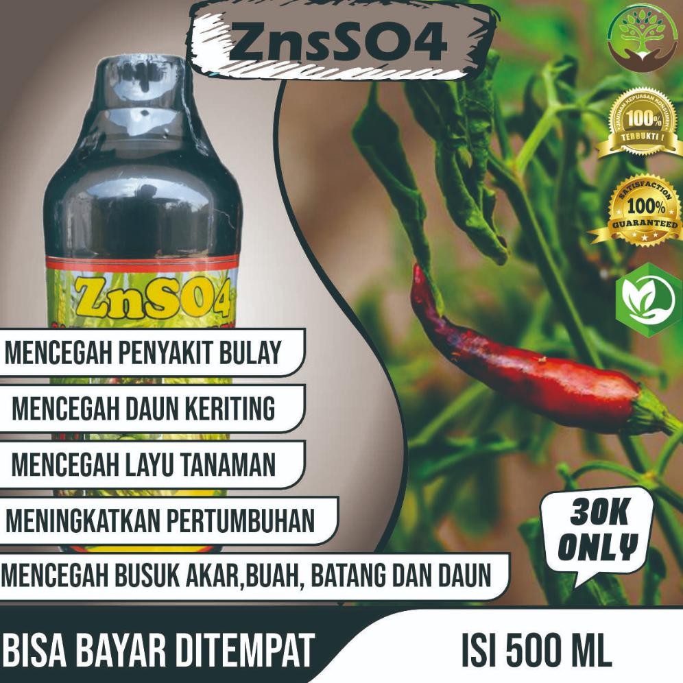 Obat Semprot Organik Anti Daun Cabe Kuning Keriting ZnSO4 GAZA ZINK SULFATE Anti Patek dan Busuk Cab