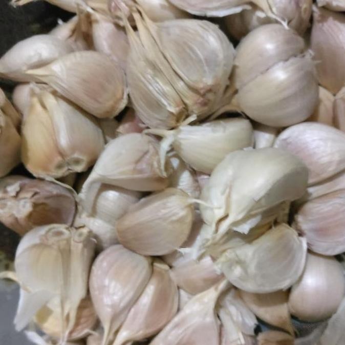 

Diskon! Bawang Putih Kating 1 Kg / 1000 Gram - Segar Kualitas Ekspor