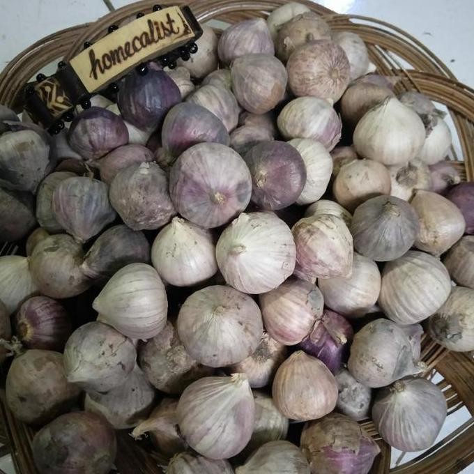 

Diskon! Bawang Putih Tunggal Tanggung 1 Kg - Ukuran Sedang, Rempah Herbal