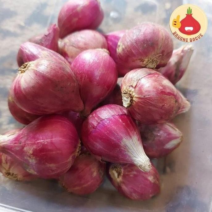 

Diskon! Bawang Merah Brebes Asli Segar 1kg - Non Import