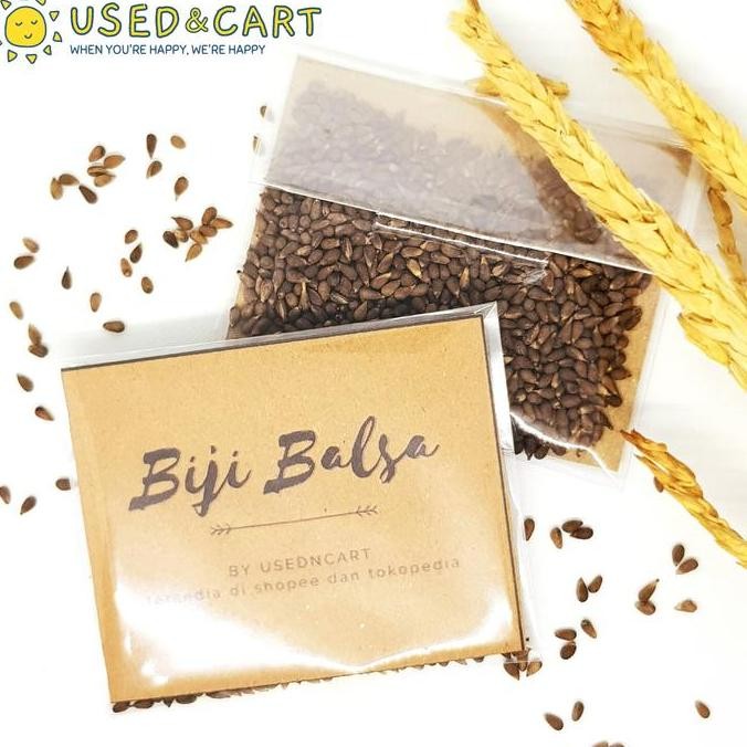 Balsa Putih Super A1 10 900 biji Bibit Tanaman Kayu BARANG SUPER