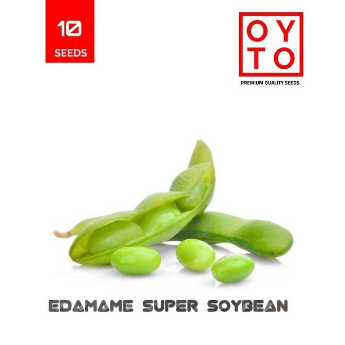 

EDAMAME SUPER SOYBEAN BIBIT TANAMAN F1 ISTIMEWA