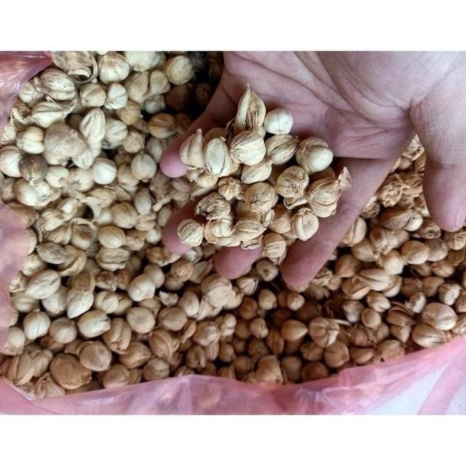 

Diskon! Kapulaga Putih Jawa 1 Kg Super Wangi Segar Grade Premium