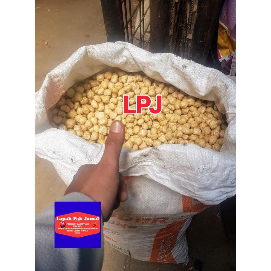 

Diskon! Kemiri Bulat Utuh 1 Kg Lpj - Kemiri Asli Berkualitas