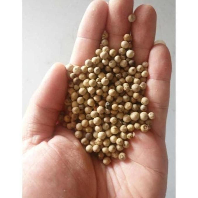 

Diskon! Lada Putih Biji Utuh 1 Kg - Whole White Pepper Merica Asli