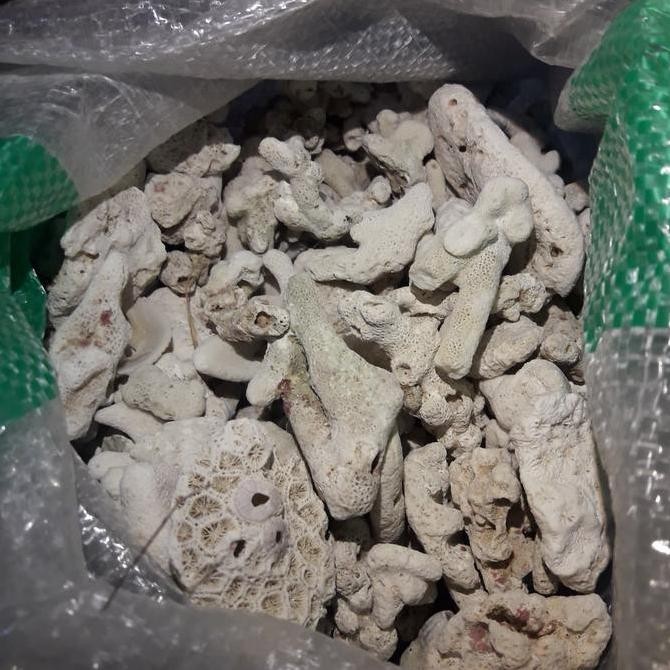 

Diskon! Jahe Karungan 6Kg - Jahe Segar Merah Karang Rempah Grosir