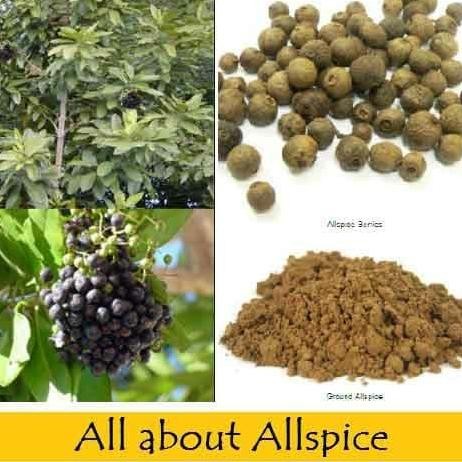 

Diskon! Allspice Ground 250Gr - Pure Pimento / Bubuk Allspice Premium Import