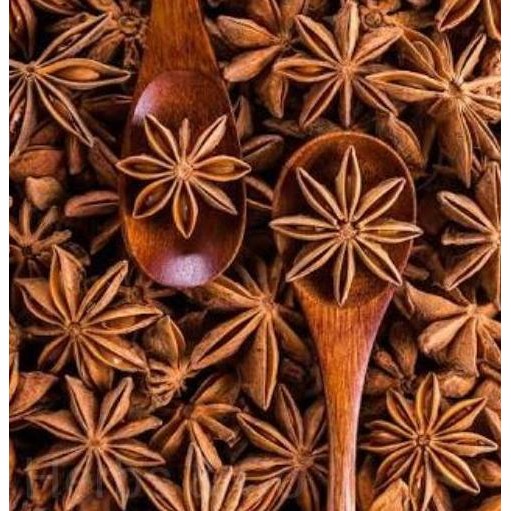 

Diskon! Bunga Lawang 250Gr / Star Anise Kering / Pekak Rempah Utuh