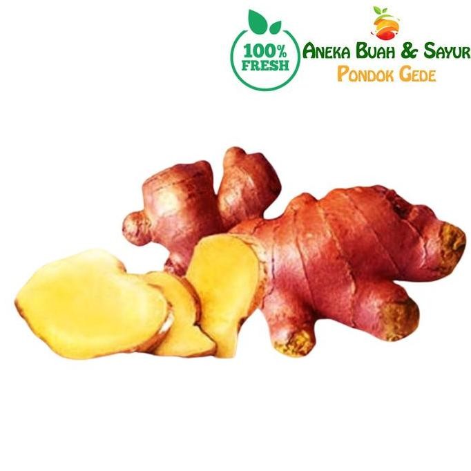 

Diskon! Jahe Merah Segar 1Kg Ginger Red Fresh Herbal Minuman Tradisional