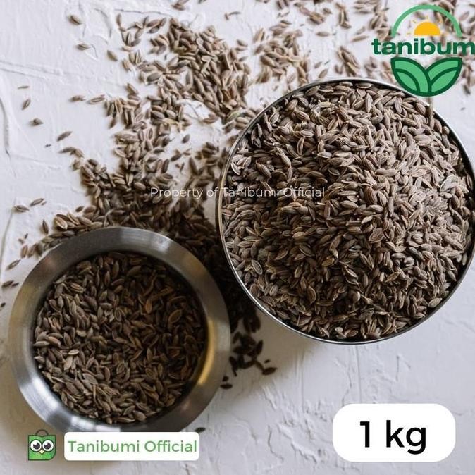 

Diskon! Biji Adas Sowa 1Kg | Dill Seed | Jintan Pedas Adas Jamu Premium