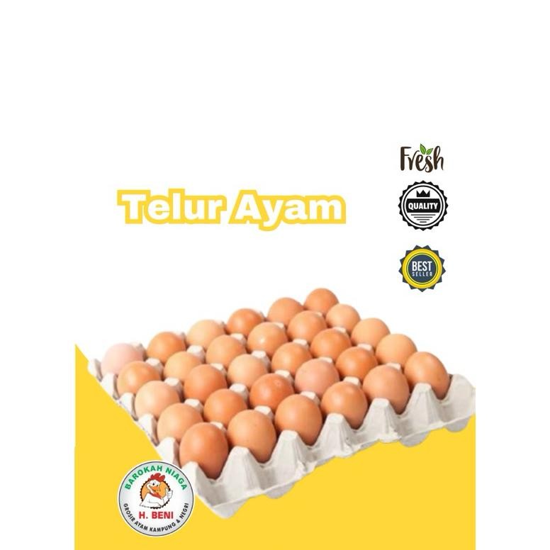 

Telur Ayam Negeri Segar Per Kilo Aman Sampai Tujuan aSt