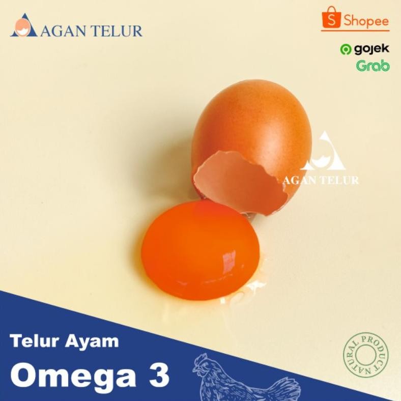 

Telur Ayam Negeri Omega 3 Orange Fresh Per Kg (15 - 16 Btr) aSt