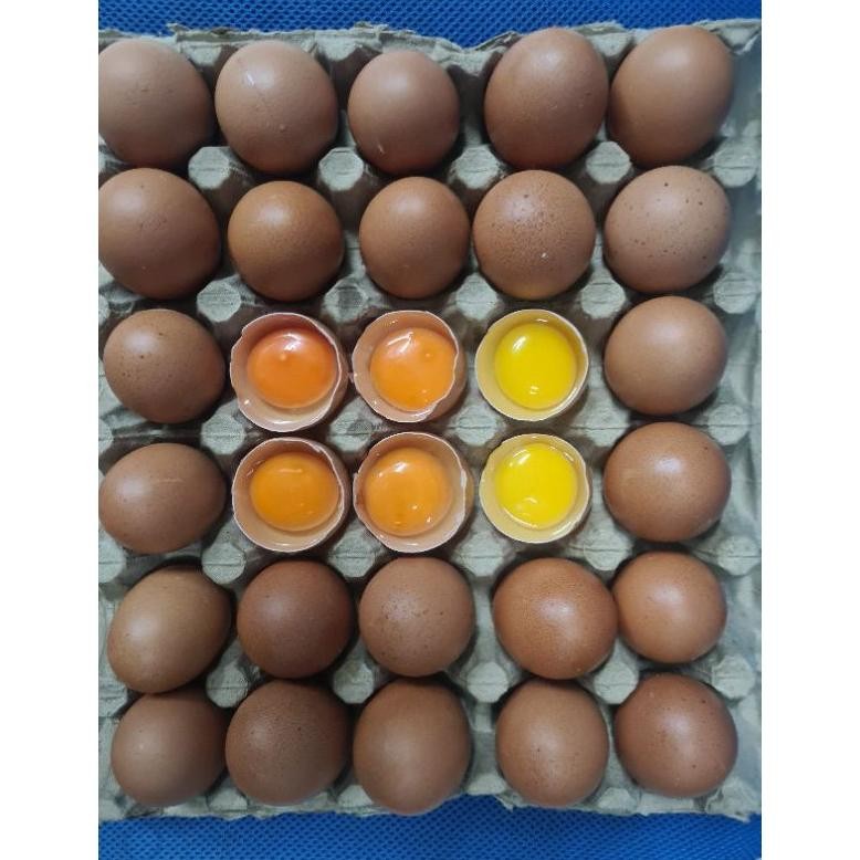 

Telur Ayam Omega 3 Premium Fresh Per Kg Nutrisi Tinggi aSt