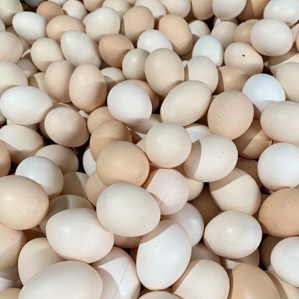 

Telur Ayam Kampung 5 Butir + Box aSt