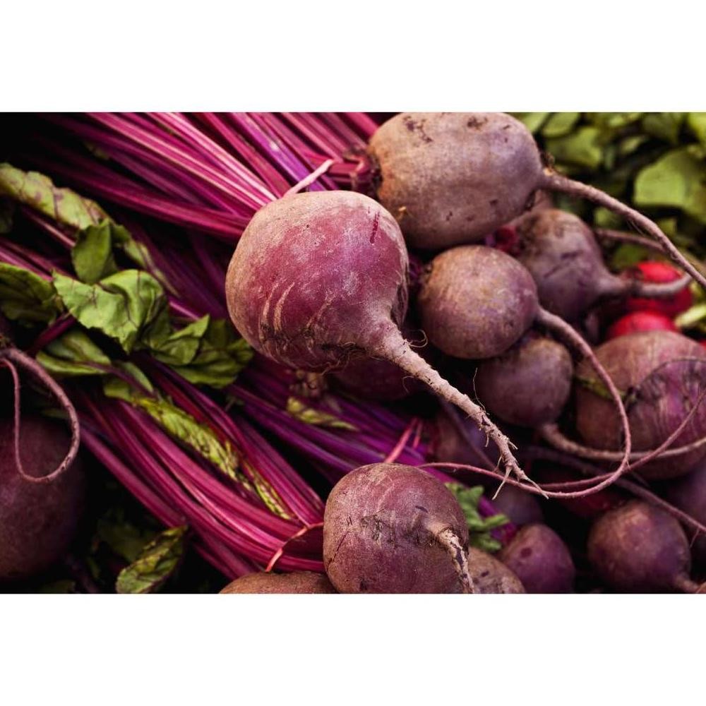 

Buah Beet Bit Beetroot Segar 1 KG Sehat Lokal Smoothiemama aSt