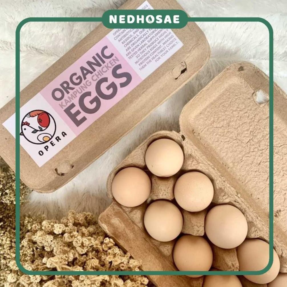 

Telur Ayam Kampung Organik Opera | Telur Ayam Broiler Organik | Telur Ayam Negeri Organik Opera aSt