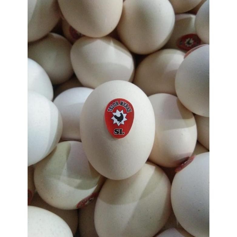 

TELUR AYAM KAMPUNG MENTAH - 4 BUTIR aSt