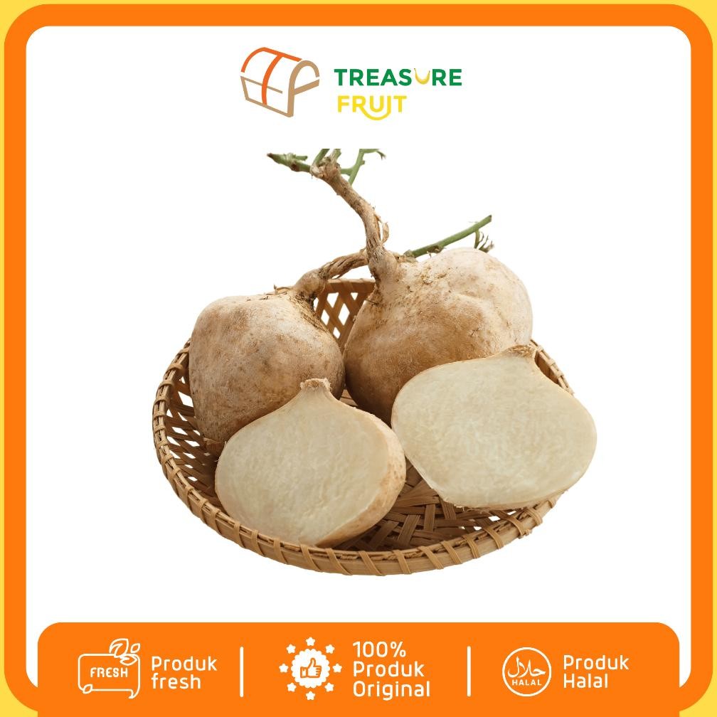 

BENGKOANG Fresh 1 KgI Treasure Fruit - Buah Sehat dan Segar aSt