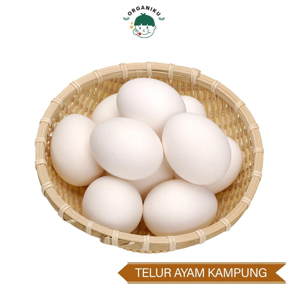 

Telur Ayam Kampung (Arab) Organik isi 6 - 10 pcs aSt