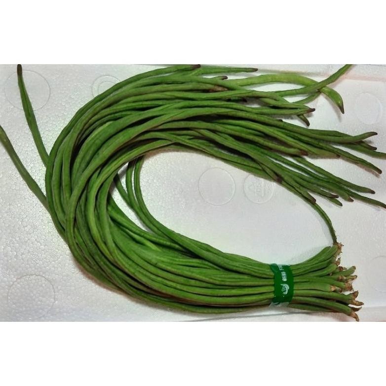 

Kacang Panjang 1 kg aSt